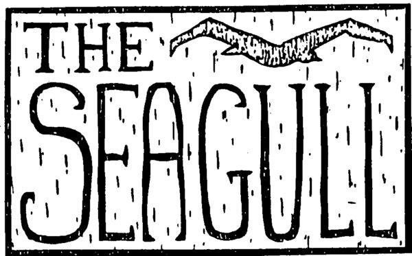 The Seagull — An Adaptation