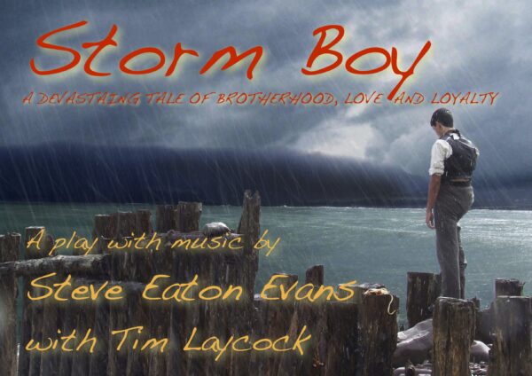 Storm Boy – A Devastating Tale of Brotherhood, Love, and Loyalty
