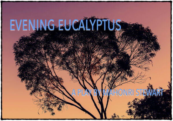 Evening Eucalyptus • A Play